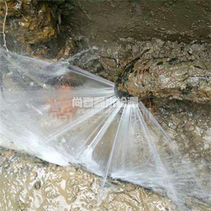 广德自来水管道漏点检测